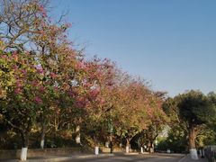 -水濂山森林公园