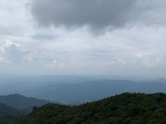 -大围山国家森林公园