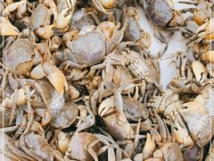 -芦潮港集贸市场