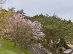 -神户市立六甲山牧场