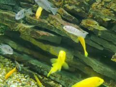 -石林冰雪海洋世界