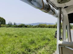 -良渚古城遗址公园