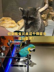 -未来动物城动物主题公园(大悦城店)