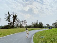 -两河城市森林公园