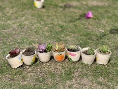 -美吉姆早教中心(泰州茂业天地中心)