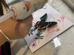 -上海大自然野生昆虫馆