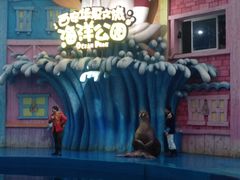 -华夏文旅海洋公园