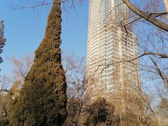 -迎泽公园