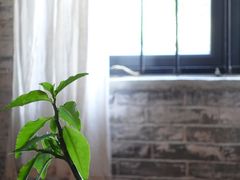 -老屋咖啡
