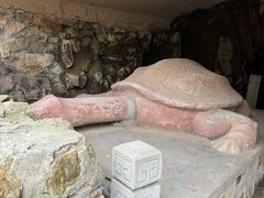 -上海佘山国家森林公园天马山园