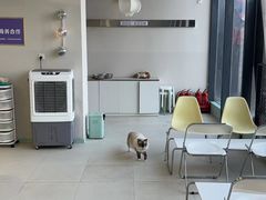 -怪兽屋·羊驼·猫咖·狗咖(俊华广场店)