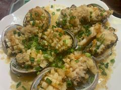 -东鸽皇(奥园·中环广场店)