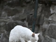 -颐和园