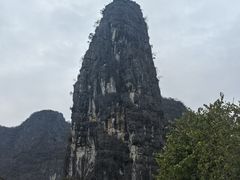 -钟山水墨田园