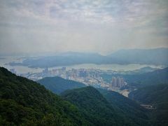 -梧桐山风景名胜区