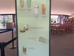 -雪绿茶博物馆
