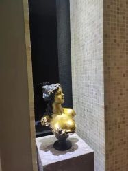 -露德瑪麗科技美肤·美迪迈·华熙生物
