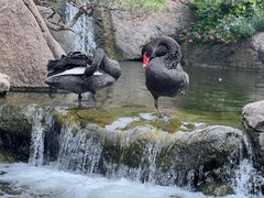 -罗红摄影艺术馆