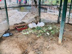 -静之湖湖畔餐厅