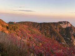 -泰山风景名胜区