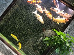 -弘安丽水温泉酒店