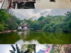 -深圳国际园林花卉博览园