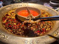 -哥老官重庆美蛙鱼头(日月光店)