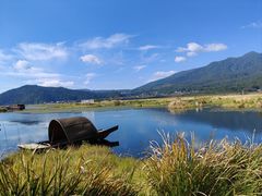 -腾冲北海湿地