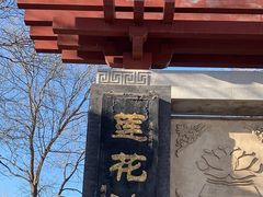 -莲花池公园