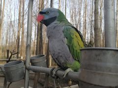 -昆山城市生态森林公园