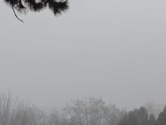 -秦始皇帝陵博物院-丽山园