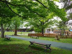 -轻井泽王子购物广场