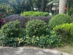 -金河半岛园林酒家(金融城店)