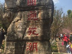 -昆明动物园
