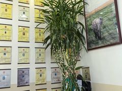 -美联众合动物医院·24h转诊中心