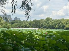 -长春市南湖公园