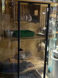 -青木造型HAIR·あおき髪を刈る潮人店