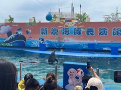 -秦皇岛新澳海底世界