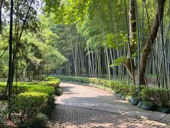 -兰亭风景区