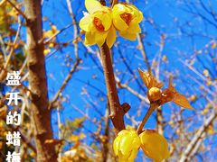 -鹫峰国家森林公园