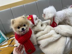 -美联众合动物医院·24h转诊中心