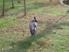 -艾溪湖湿地公园