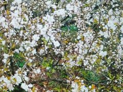 -镇江市南山风景名胜区竹林景区