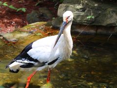 -云南野生动物园