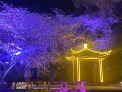 -蜜桃餐厅·伴山(湖滨商业街店)