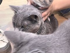 -觅时光手作·香薰·拼豆豆·陶艺DIY