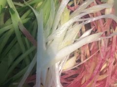 -大铁勺新津菜(迎水道店)
