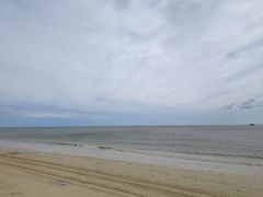 -东郊椰林