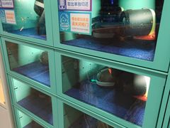 -成都环球中心天堂洲际大饭店