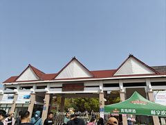 -上海都市菜园